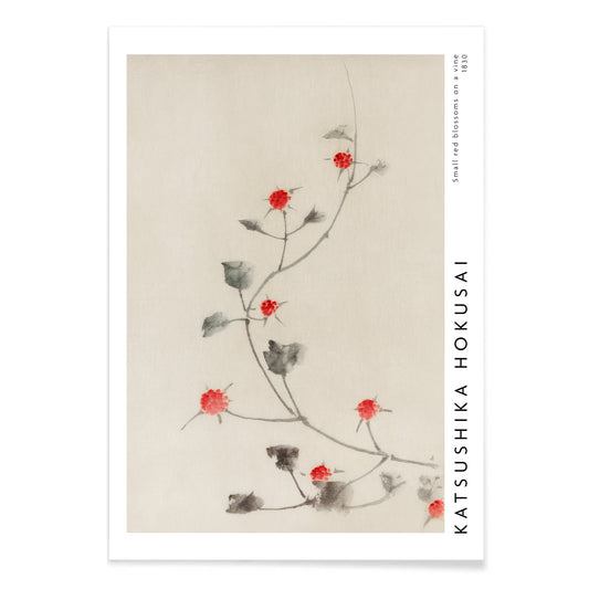 Small Red Blossoms on a Vine artwork by Katsushika Hokusai featuring delicate red flowers and green leaves on a light background, with black aluminium frame on white background