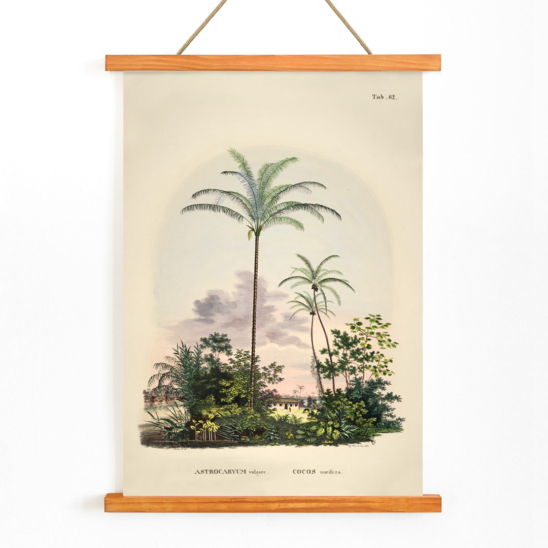 Astrocaryum vulgare botanical illustration and poster of tropical palm trees and lush green plants by Carl Friedrich Philipp von Martius, with wooden magnetic frame on white background