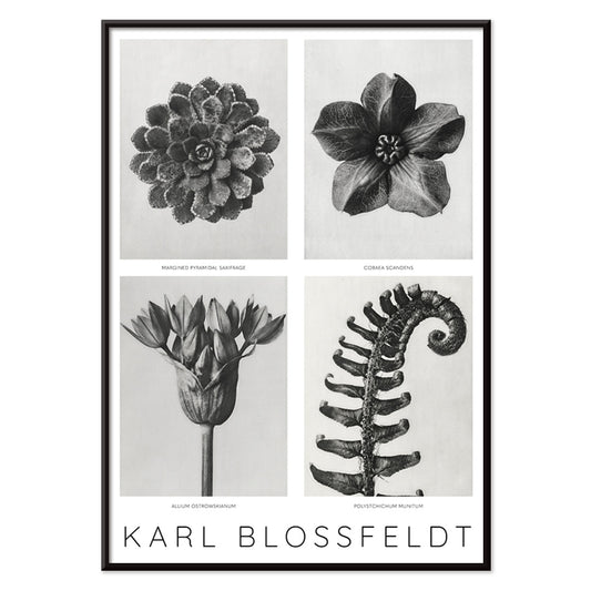 , with black aluminium frame on white background
