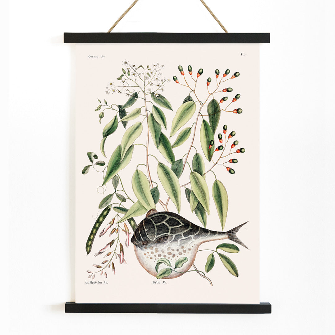 , with wooden magnetic frame on white background