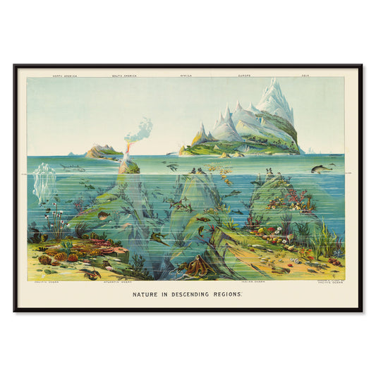 , with black aluminium frame on white background