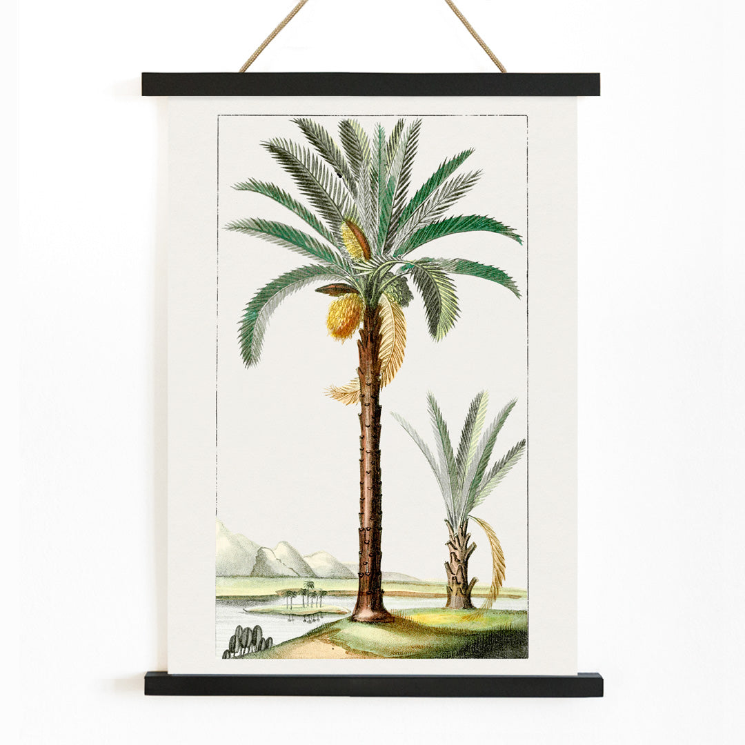 Hand drawn palm tree art print poster with detailed leaves and landscape background, with wooden magnetic frame on white background