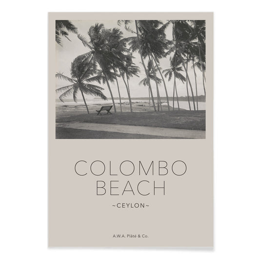 Colombo Beach Ceylon poster with palm trees and empty bench artwork by AWA Plate and Co ideal for wall decor and travel themes, with black aluminium frame on white background
