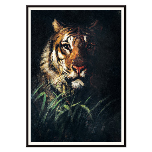Tigers Head painting by Abbott Handerson Thayer detailed tiger portrait in the wild and emerging from dark foliage poster artwork, with black aluminium frame on white background