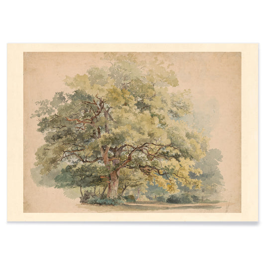 Lonely tree peaceful landscape painting and poster artwork by George Andries Roth, with black aluminium frame on white background