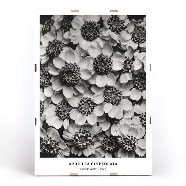 , framed and displayed in modern living room decor