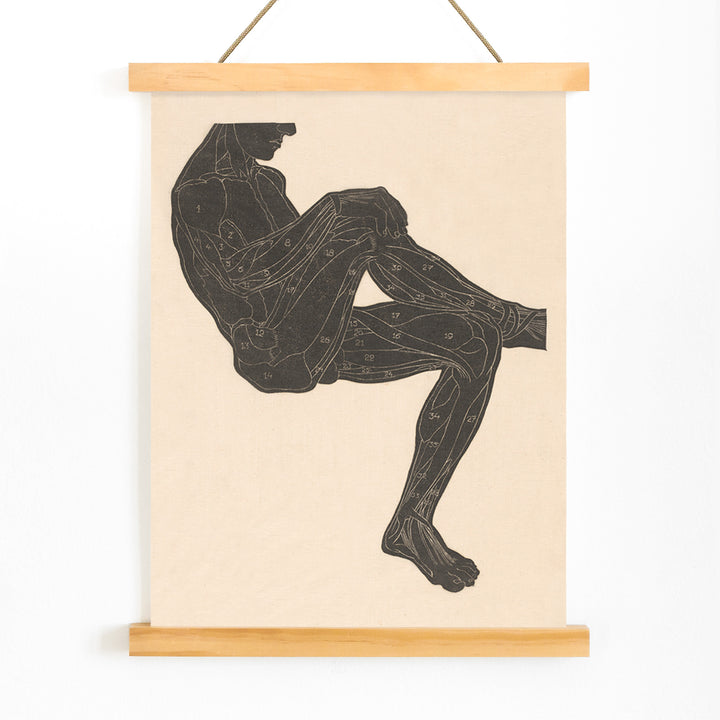 Anatomical illustration of human leg muscles in a seated figure poster by Reijer Stolk, with wooden magnetic frame on white background