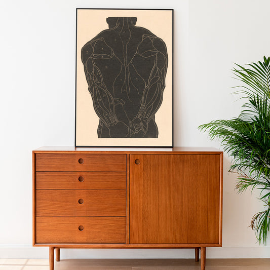 Anatomical illustration and poster of human back muscles by Reijer Stolk labeled muscle groups artwork Back Muscles, framed and displayed in home decor
