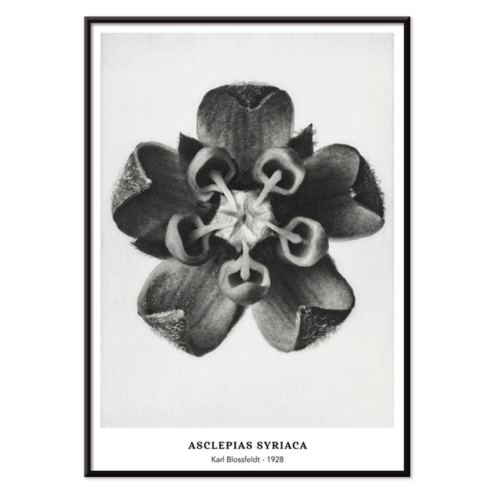 , with black aluminium frame on white background