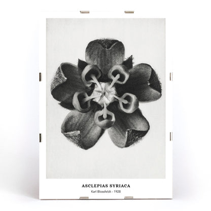 , framed and displayed in modern living room decor