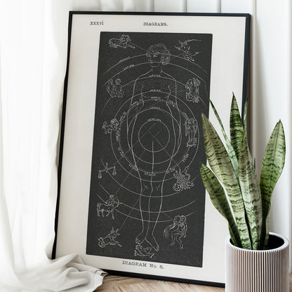 Astrological human body diagram and poster with zodiac signs planets and symbols by Hiram Erastus Butler from Solar Biology, framed and displayed in home decor