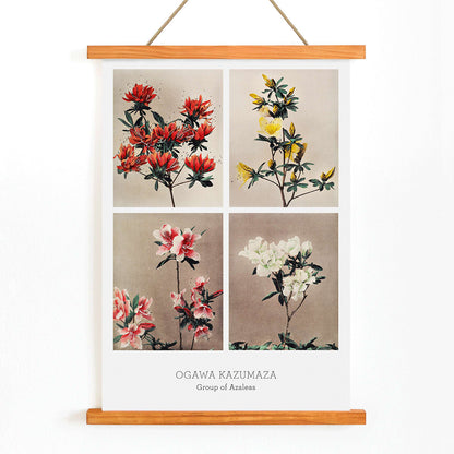 Hand colored collotype artwork of vibrant azalea flowers by Kazumasa Ogawa poster featuring various azaleas, with wooden magnetic frame on white background