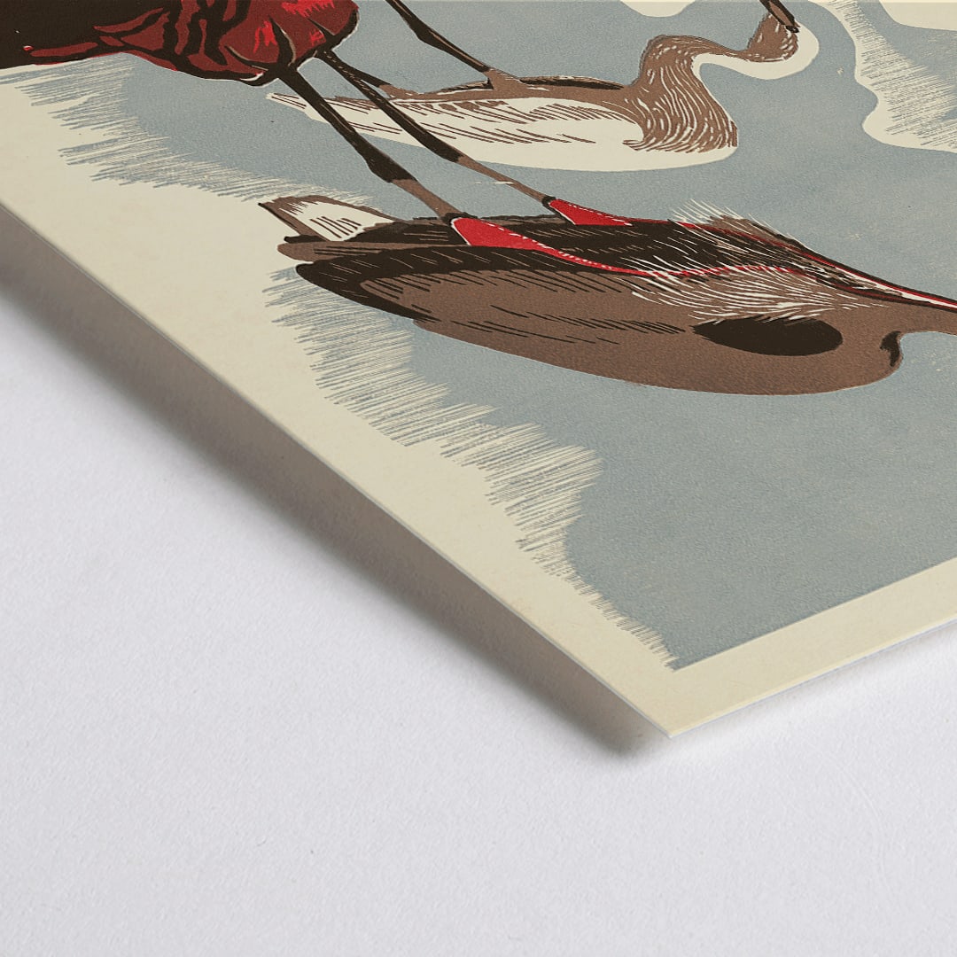 Closeup detail of Visit the zoo poster by Federal Art Project WPA Pennsylvania showing two herons standing on a rock with text by the artist