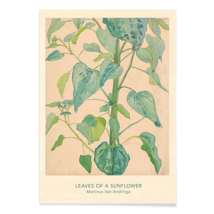 Botanical watercolor illustration of sunflower leaves by Martinus van Andringa detailed artwork poster, with black aluminium frame on white background