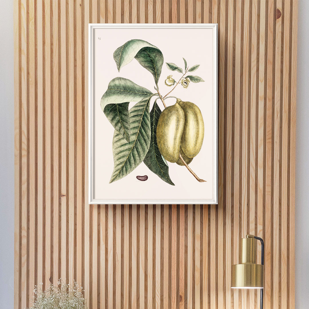 , framed and displayed in home decor