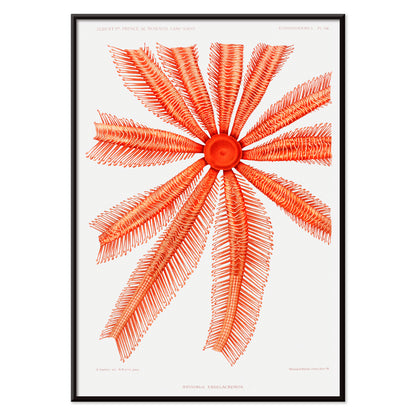 , with black aluminium frame on white background