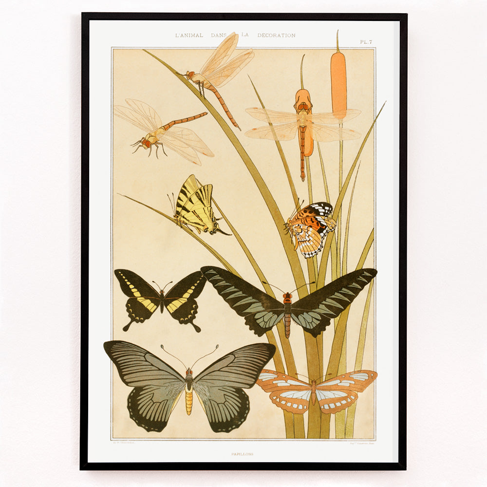Closeup detail of Colorful illustration and poster of butterflies and dragonflies among reeds in decorative style by Maurice Pillard Verneuil from Butterflies and Reeds