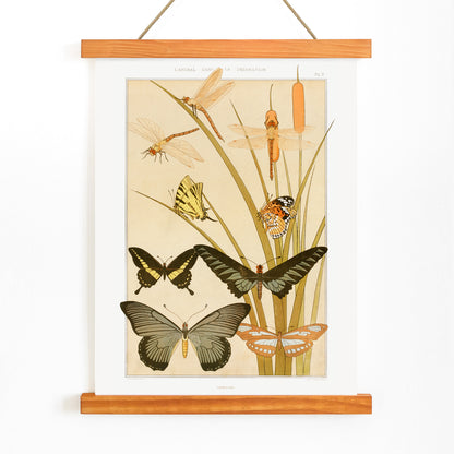 Colorful illustration and poster of butterflies and dragonflies among reeds in decorative style by Maurice Pillard Verneuil from Butterflies and Reeds, with wooden magnetic frame on white background
