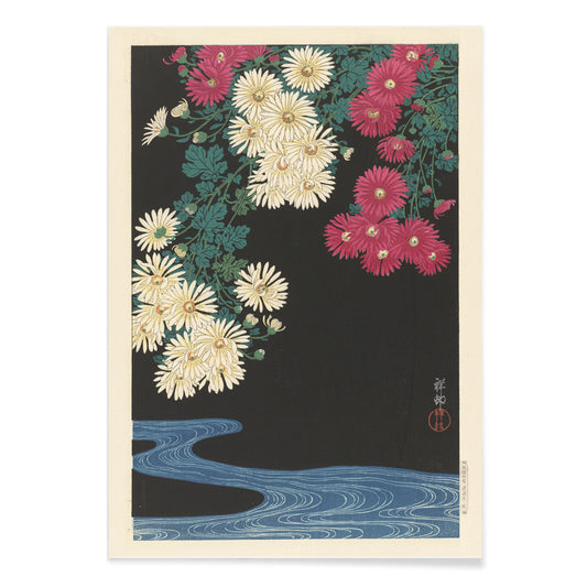 Chrysanthemums and Running Water by Ohara Koson Japanese art poster with yellow and pink flowers over blue water on black background, with black aluminium frame on white background