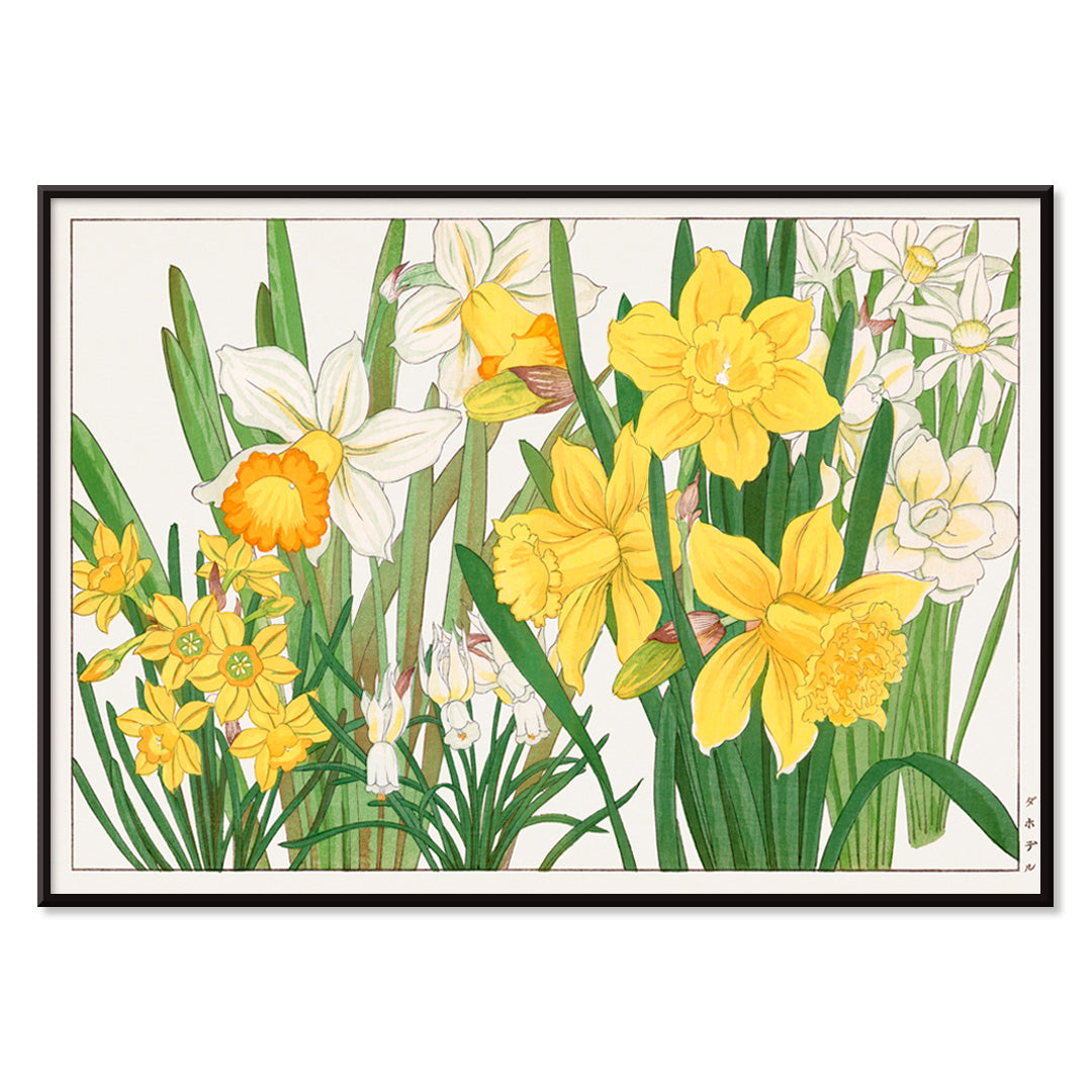 Daffodil woodblock painting by Tanigami Konan vibrant yellow and white floral artwork poster, with black aluminium frame on white background