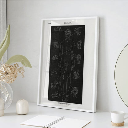 Human body diagram with astrological zodiac symbols and body part connections from Solar Biology by Hiram Erastus Butler, framed and displayed in home decor