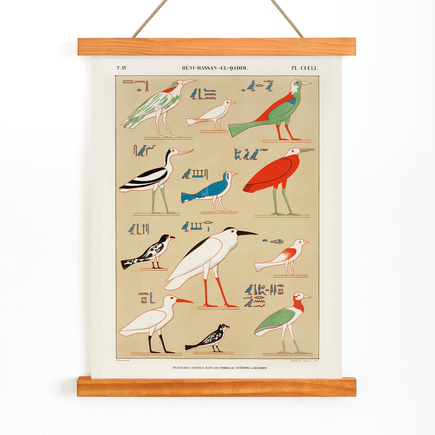 Colorful ancient Egyptian birds illustration poster inspired by paintings from the tombs of Nevoethph and Menothph by Jean Francois Champollion, with wooden magnetic frame on white background
