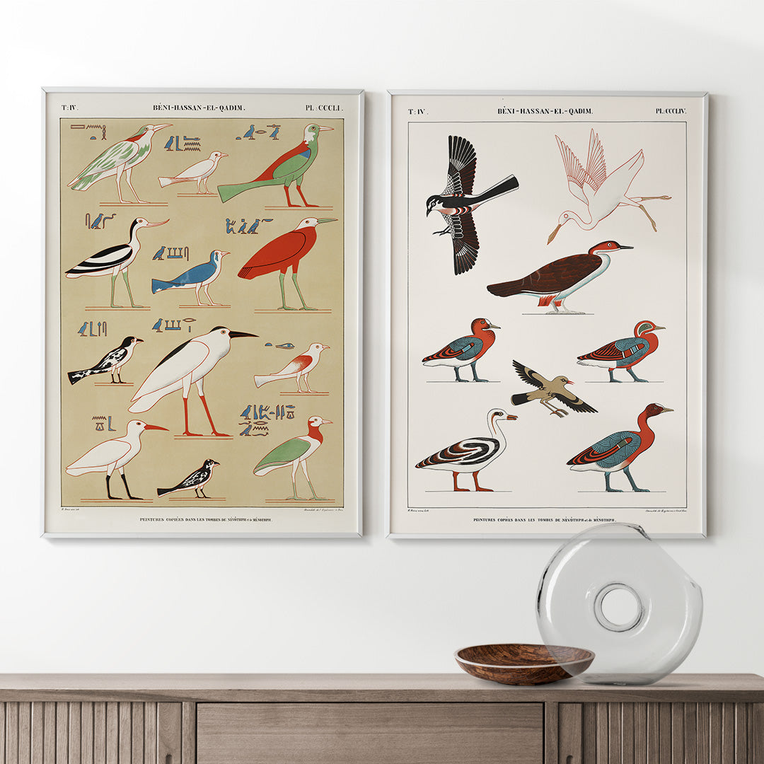 Colorful ancient Egyptian birds illustration poster inspired by paintings from the tombs of Nevoethph and Menothph by Jean Francois Champollion, framed and displayed in home decor