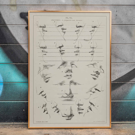 John Rubens Smith human figure drawing study poster with black and white facial feature sketches, framed and displayed in home decor