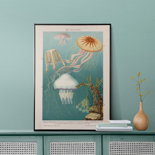 Colorful jellyfish illustration and poster in aquatic surroundings marine life artwork titled Jellyfish by The Institute of Liepzig, framed and displayed in home decor