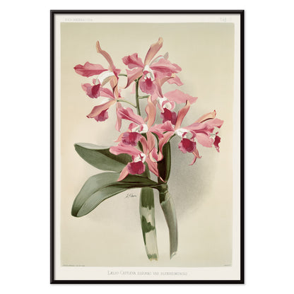 , with black aluminium frame on white background