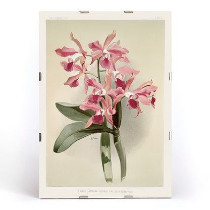 , framed and displayed in modern living room decor