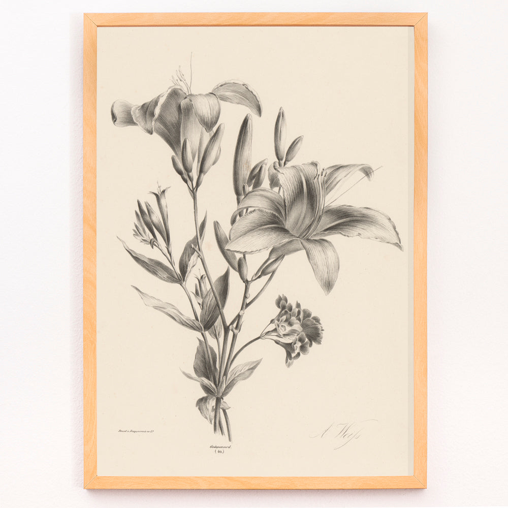 Closeup detail of Detailed black and white botanical illustration of two lilies by Anton Weiss titled Two black and white lilies poster