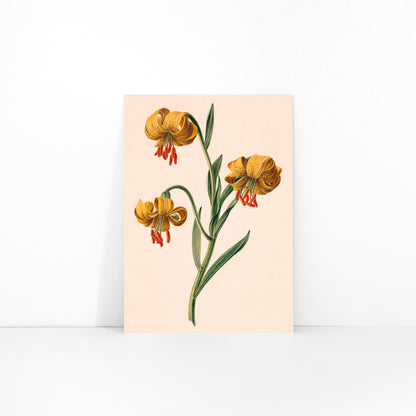 Botanical illustration poster of three yellow lilies by M de Gijselaar, framed and displayed in modern living room decor