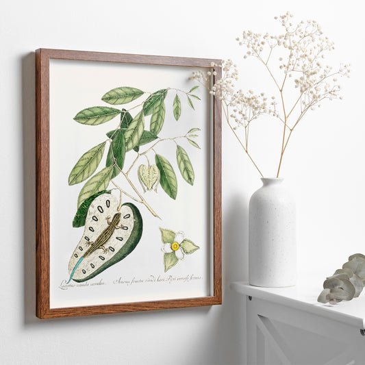 , framed and displayed in home decor