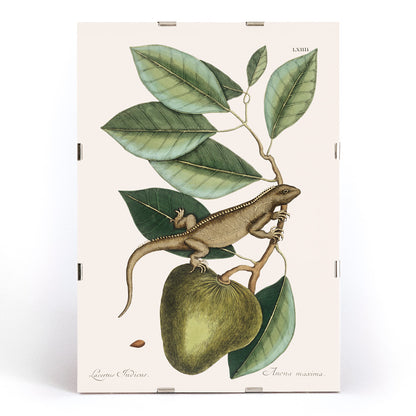 , framed and displayed in modern living room decor