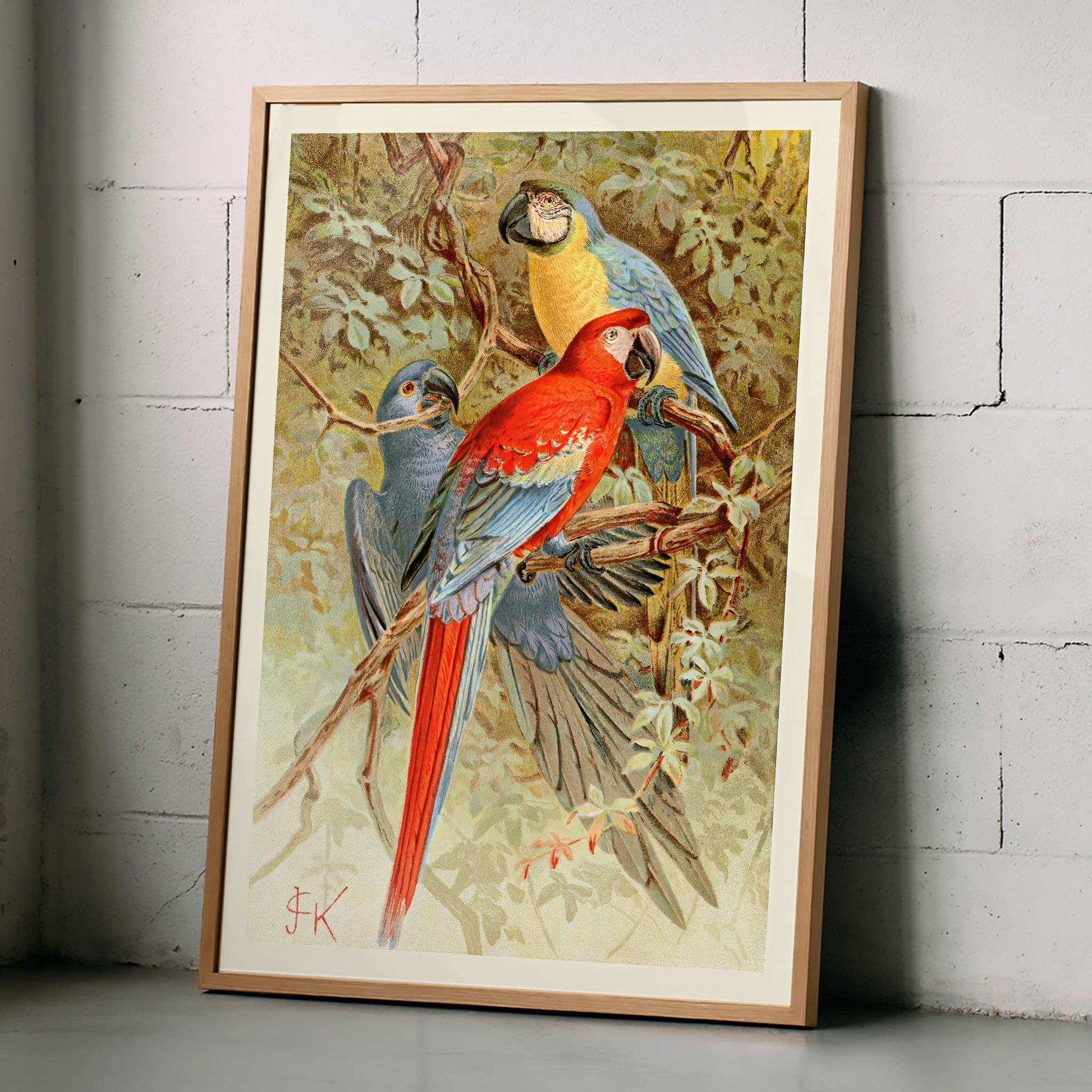 Colorful macaws perched on tree branches in a lush forest vibrant macaw artwork poster, framed and displayed in modern living room decor