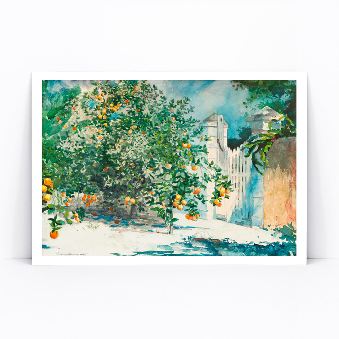 Orange Trees And Gate by Winslow Homer watercolor painting poster featuring lush orange trees and a white picket gate in a sunny garden scene, framed and displayed in modern living room decor