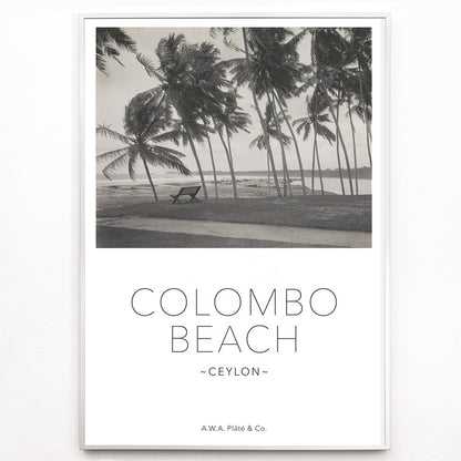 Closeup detail of Colombo Beach Ceylon poster with palm trees and empty bench artwork by AWA Plate and Co ideal for wall decor and travel themes