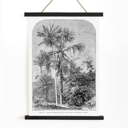 Palm trees in tropical forest illustration poster by Oswald de Kerchove de Denterghem Les Palmiers Histoire Iconographique, with wooden magnetic frame on white background