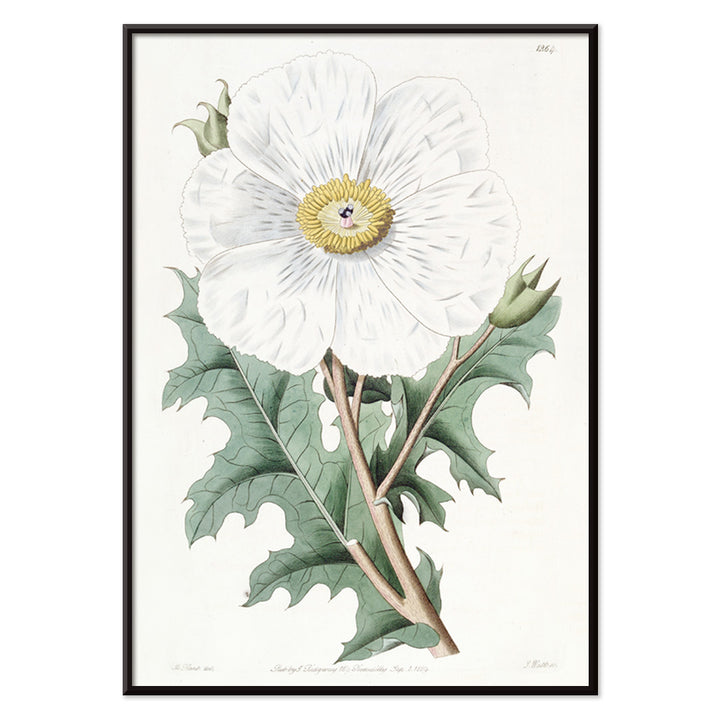 , with black aluminium frame on white background