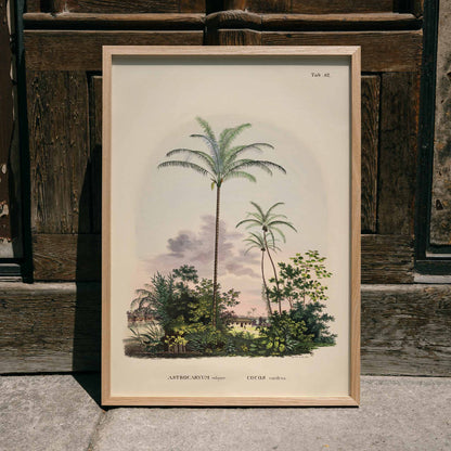 Astrocaryum vulgare botanical illustration and poster of tropical palm trees and lush green plants by Carl Friedrich Philipp von Martius, framed and displayed in home decor