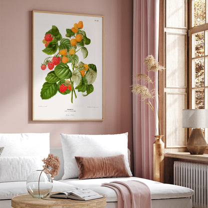 , framed and displayed in home decor